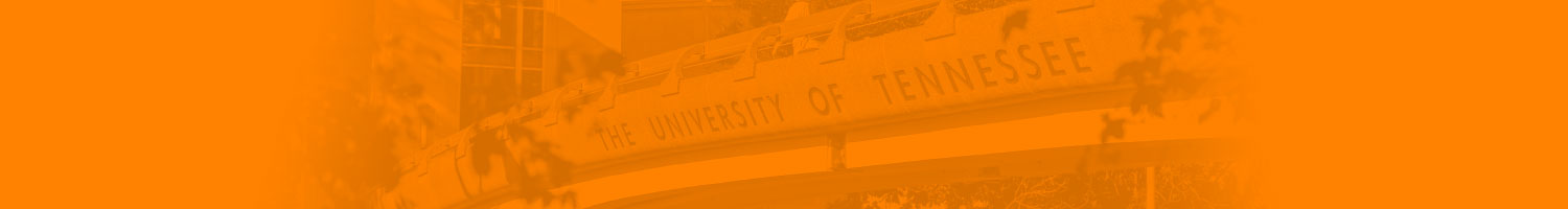 University of Tennessee Branding Campaign – Free Sky Studios